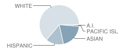 Gisler (Robert) Elementary School Student Race Distribution