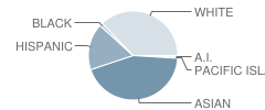 Masuda (Kazuo) Middle School Student Race Distribution