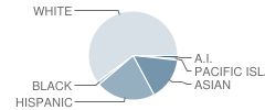 Oka (Isojiro) Elementary School Student Race Distribution