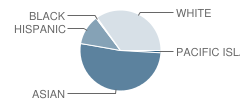 Plavan (Urbain H.) Elementary School Student Race Distribution