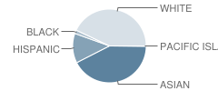 Tamura (Hisamatsu) Elementary School Student Race Distribution