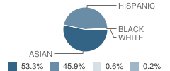Rice (Eldridge) Elementary School Student Race Distribution