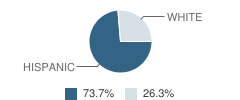 Pioneer High (Continuation) School Student Race Distribution