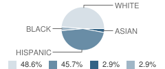 Irwin High (Continuation) School Student Race Distribution