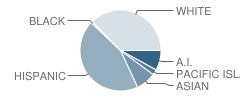 Valley Vista High (Continuation) School Student Race Distribution