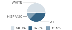 Redding (Ray) High (Continuation) School Student Race Distribution