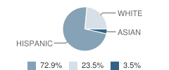 Transitional Learning Center (Continuation) School Student Race Distribution