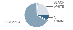 Jamison (Donald C.) High (Continuation) School Student Race Distribution