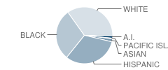 La Paloma High (Continuation) School Student Race Distribution