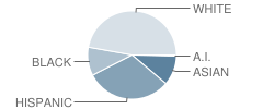 Mable Barron School Student Race Distribution