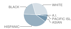 Larsson (Sture) High (Continuation) School Student Race Distribution