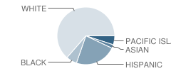 Laurel High (Continuation) School Student Race Distribution