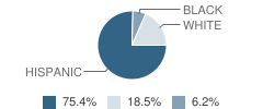 Angel's Gate (Continuation) School Student Race Distribution