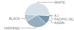 George Ellery Hale Middle School (Charter Academy) Student Race Distribution