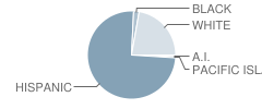 Furman (Duane E.) High (Alternative) School Student Race Distribution