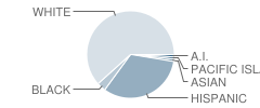 Briones (Alternative) School Student Race Distribution