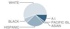 Lincoln (Abraham) (Alternative) School Student Race Distribution