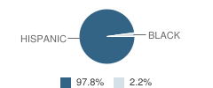 San Joaquin High (Continuation) School Student Race Distribution