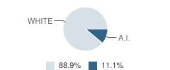 Mendocino Community High (Continuation) School Student Race Distribution
