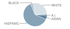 Independence High (Alternative) School Student Race Distribution