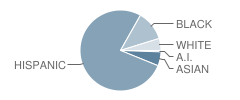 Boston Elementary School Student Race Distribution