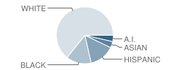 Halcyon School (Special Education) Student Race Distribution
