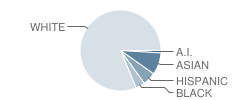 Homestead Elementary School Student Race Distribution