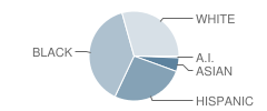 Overland High School Student Race Distribution