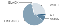 Traylor Elementary School Student Race Distribution