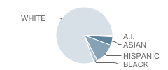 Erie High School Student Race Distribution