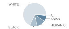 The Vanguard School (Middle) Student Race Distribution
