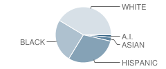 Space Technology and Arts Academy (Star Academy) Student Race Distribution