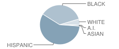 A. I. Prince Technical High School Student Race Distribution