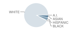 Memorial School Student Race Distribution