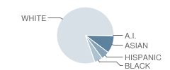 Lillie B. Haynes School Student Race Distribution