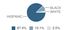 Mcdonough School Student Race Distribution