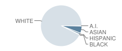 Kathleen H. Ryerson Elementary School Student Race Distribution