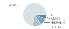 Vernon Center Middle School Student Race Distribution