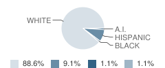 Act Magnet School (Capitol Theater Arts Academy) Student Race Distribution