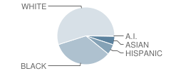 Redding (Louis L.) Middle School Student Race Distribution