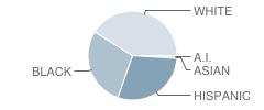 Brittingham (H.o.) Elementary School Student Race Distribution