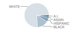 Shields (Richard A.) Elementary School Student Race Distribution