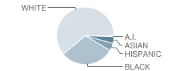 Stokes (Nellie Hughes) Elementary School Student Race Distribution