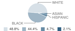 Brown (W. Reily) Elementary School Student Race Distribution