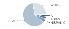 Washington (Booker T.) Elementary School Student Race Distribution