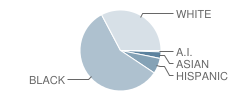 Henry (William) Middle School Student Race Distribution
