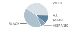 Marshall (Thurgood) Elementary School Student Race Distribution