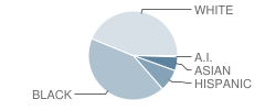 Keene (William B.) Elementary School Student Race Distribution