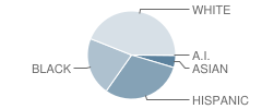 Wilson (Etta J.) Elementary School Student Race Distribution