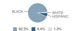 Stubbs (Frederick Douglass) Intermediate School Student Race Distribution